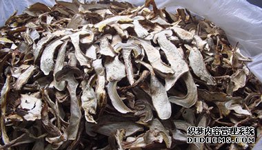 哪些食物就能很好的预防肺癌?