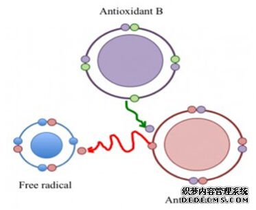 抗氧化补充剂不宜过多